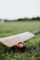 Image result for HD Images of Cricket Bat