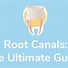 Image result for Accessory Root Canal