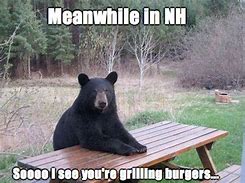 Image result for New Hampshire Memes