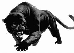 Image result for Black Panther Cat Memes
