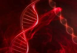 Image result for Meme About Getting DNA