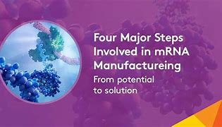 Image result for Steps Involved in Car Manufacturing