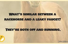 Image result for Shoot the Race Horse Funny