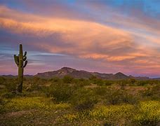 Image result for arizona desert photography