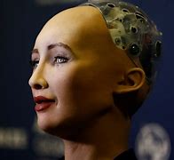 Image result for Sofie Is the World's First Humanoid Robot