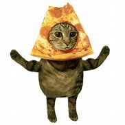 Image result for Pizza Cat Coffee Meme