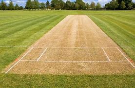 Image result for Cricket Pitch Field