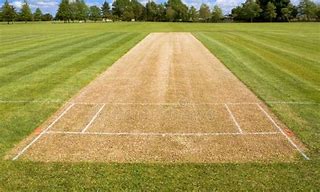 Image result for Cricket Pitch Picture