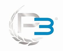 Image result for P3 Company Logo
