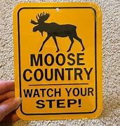 Image result for Funny Watch Your Step Signs