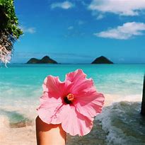 Image result for Bright Summer Beach