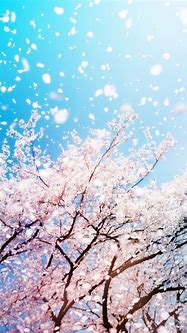 Image result for Spring Wallpaper for iPhone 8