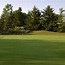 Image result for golf avon