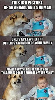 Image result for Dad Joke Dog Meme