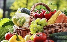 Image result for Vegetarian vs Meat-Eating