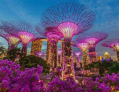 Image result for Singapore Botanic Gardens