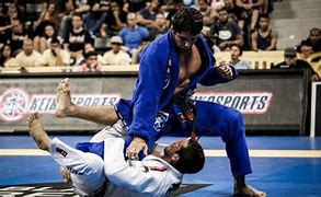 Image result for Brazilian Jiu Jitsu Fighters