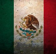 Image result for Mexican Flag Art