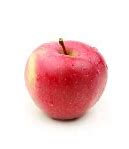 Image result for Apple Pink Tip