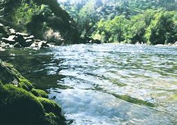Image result for Honddu River