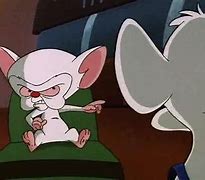 Image result for Pinky and the Brain Episodes