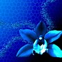 Image result for Free to Use Blue Images