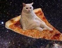 Image result for Pi Cat Universe Meme