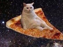 Image result for Pi Cat Universe Meme