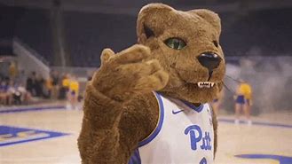 Image result for Uni Panthers GIF