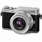 Image result for Budget Mirrorless Camera