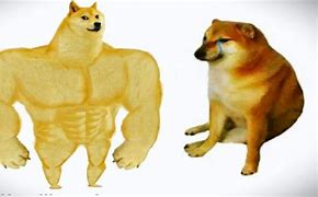 Image result for STRONK Doge Meme
