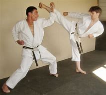 Image result for Types of Karate Blocking