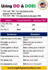 Image result for Questions with Do and Make