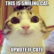 Image result for Smiling Cat Meme