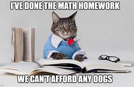 Image result for Cat Meme Doing Homework