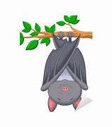Image result for Sleeping Bat Drawing