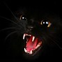 Image result for Free Black Cat Wallpaper