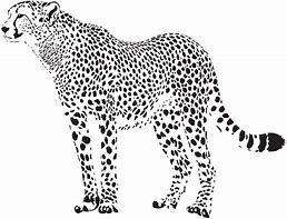Image result for Gray and Pink Cheetah Background