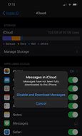 Image result for Apple 5S Messages