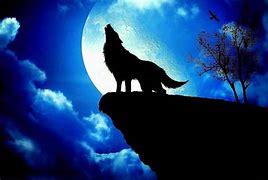 Image result for Anime Wolves Howling