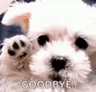 Image result for Puppy Goodbye Meme