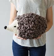 Image result for Crochet Wooly Hedgehog