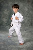 Image result for Karate Photography