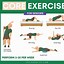 Image result for Easy Core Exercises for Seniors