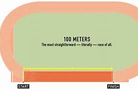 Image result for How Tall Is 8 Meters