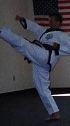 Image result for Types of Karate Styles