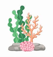 Image result for Green Coral Cartoon