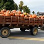 Image result for Pumpkin Picking at Guiseley