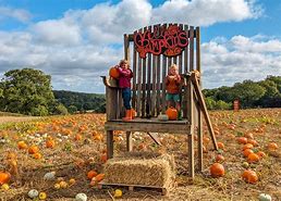 Image result for Pumpkin Picking Tent Paint