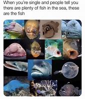 Image result for Fisch Meme